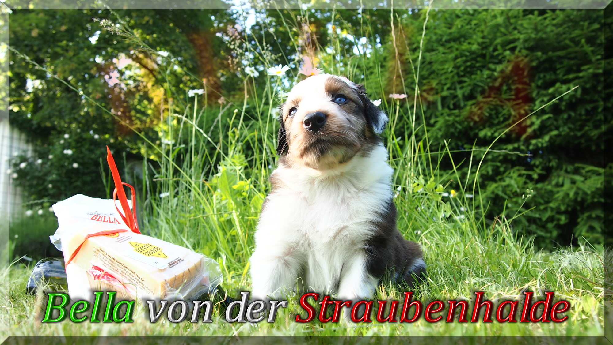 W&auml;ller von der Straubenhalde